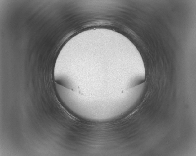 X0000067331321200604281409
