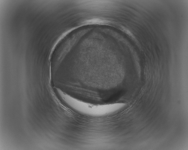 X0000067331323200604281409