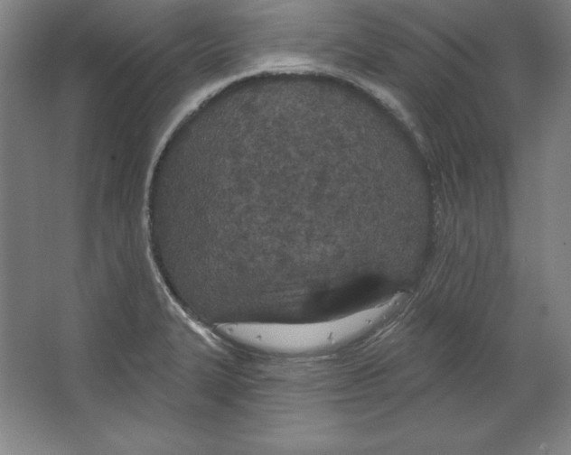 X0000067331327200604281409