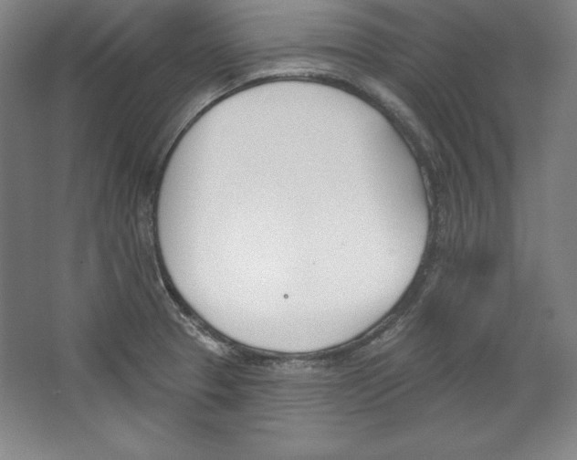 X0000067331329200604281409