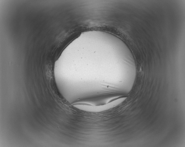 X0000067331348200604281408