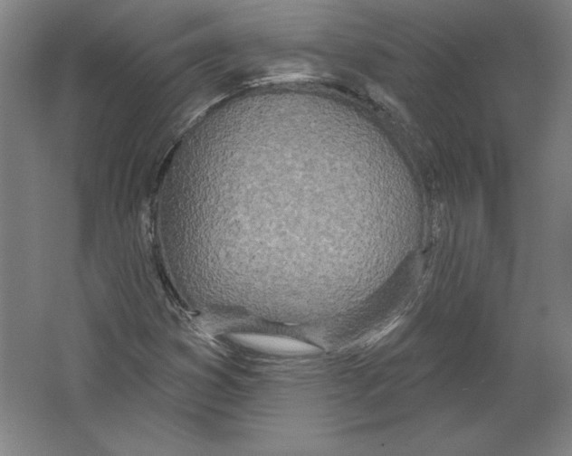 X0000067331353200604281408