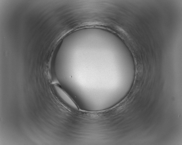 X0000067331361200604281408