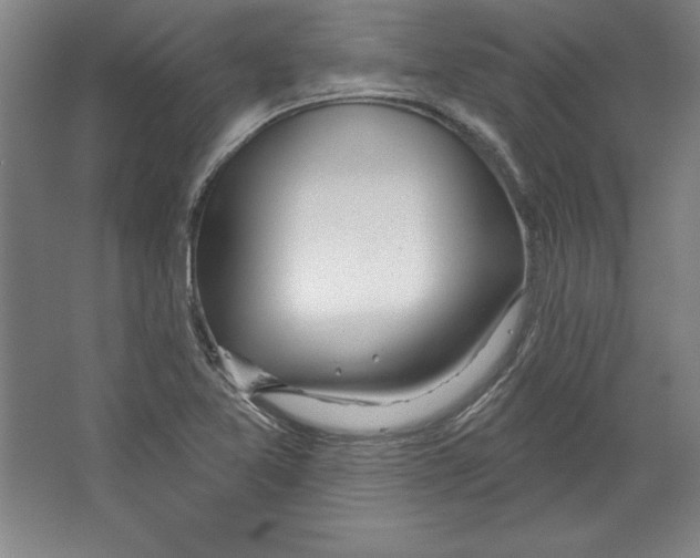 X0000067331365200604281408