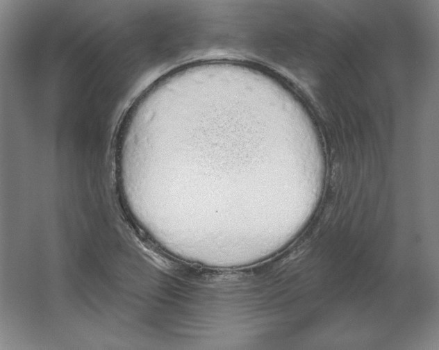X0000067331367200604281408