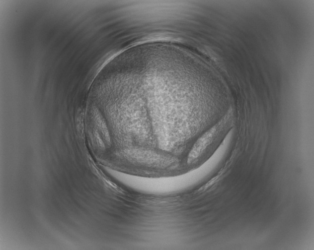 X0000067331369200604281408