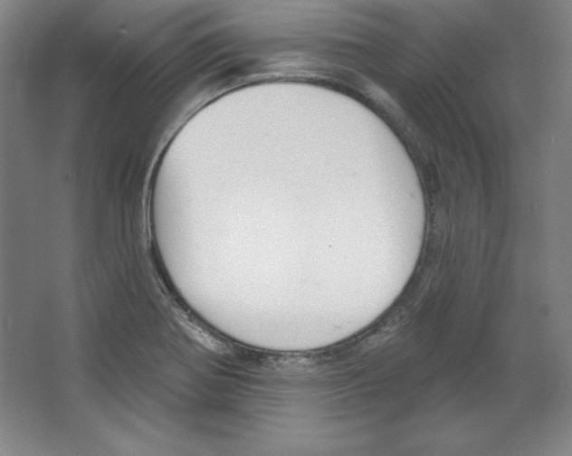 X0000067331370200604281408