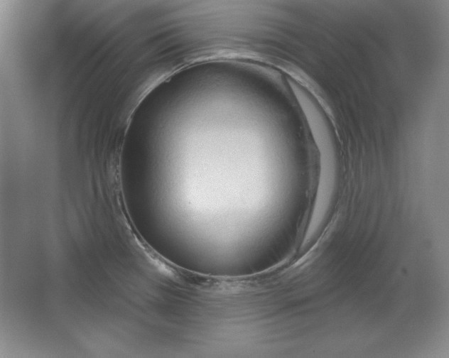X0000067331385200604281407