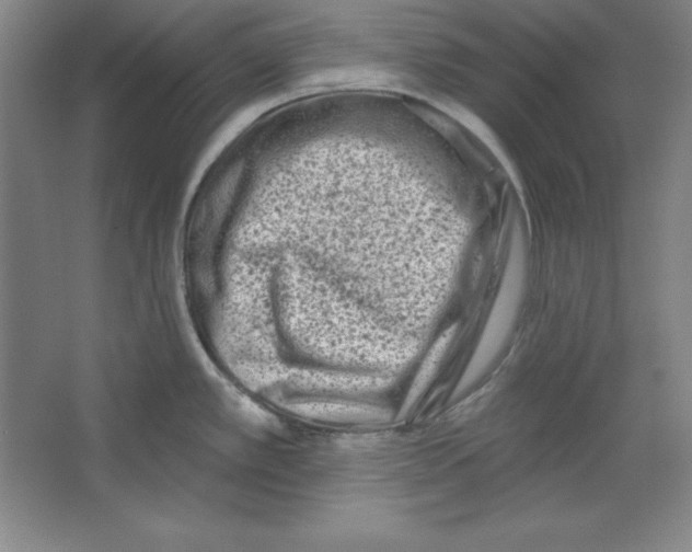 X0000067331389200604281407