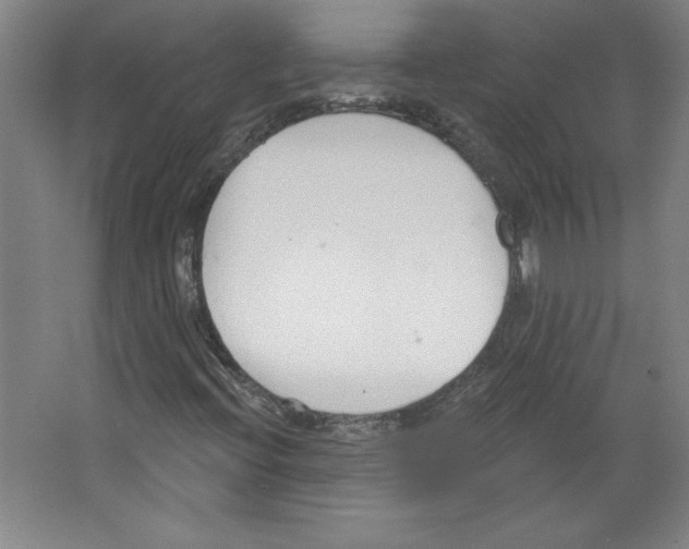 X0000067331396200604281407