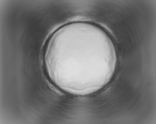X0000067331413200604281407