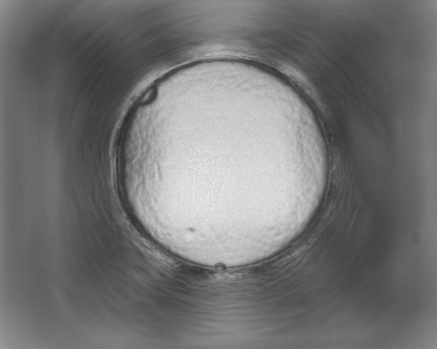 X0000067331419200604281407
