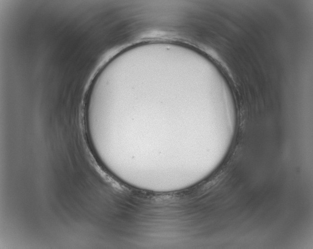 X0000067331421200604281407