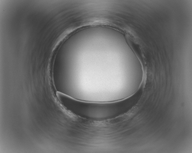X0000067331422200604281407