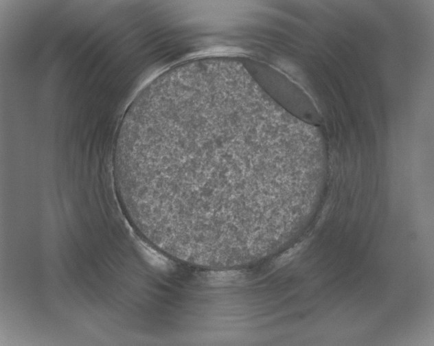 X0000067331425200604281407