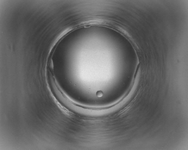 X0000067331426200604281407