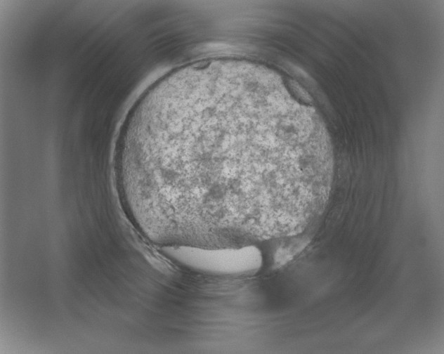 X0000067331427200604281407