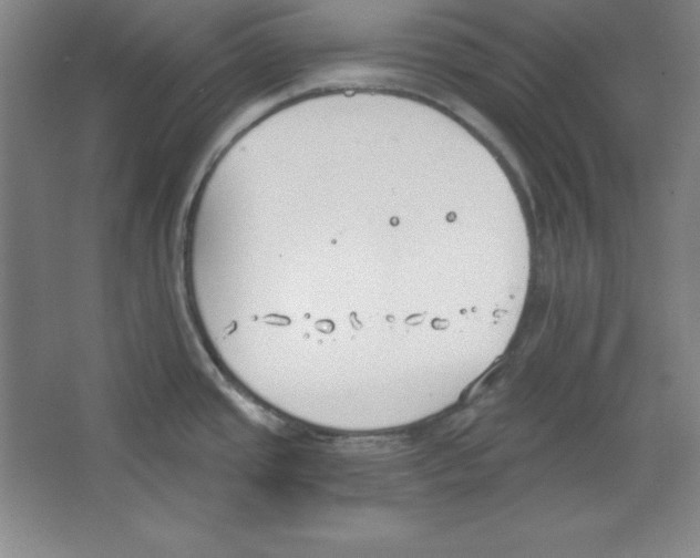 X0000067331437200604281407