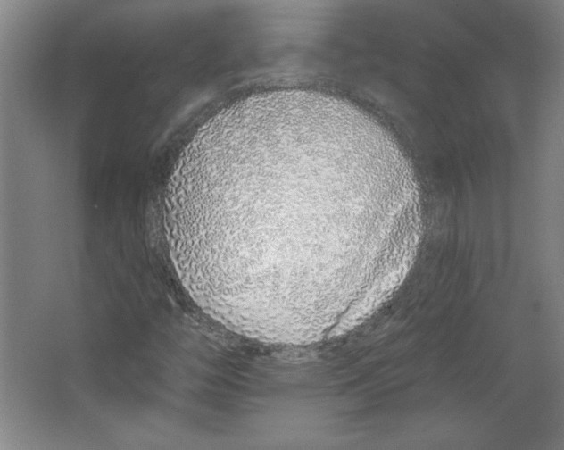 X0000067331446200604281406