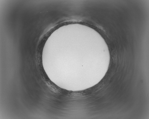 X0000067331448200604281406