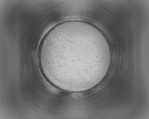 X0000067331466200604281406