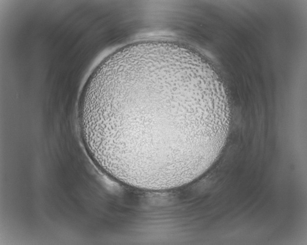 X0000067331470200604281406