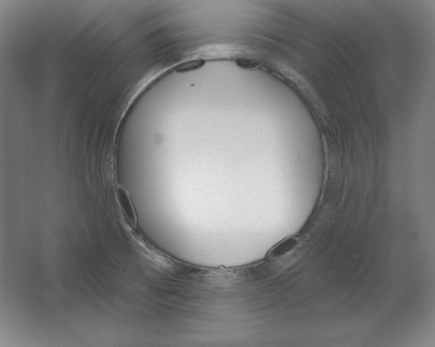 X0000067331473200604281406