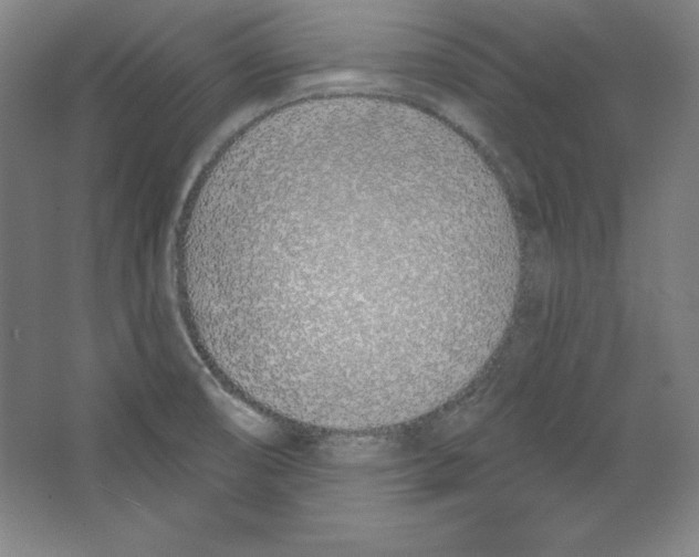 X0000067331474200604281406