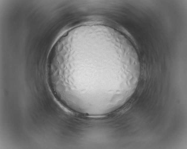 X0000067331487200604281406