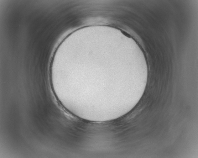 X0000067331488200604281406
