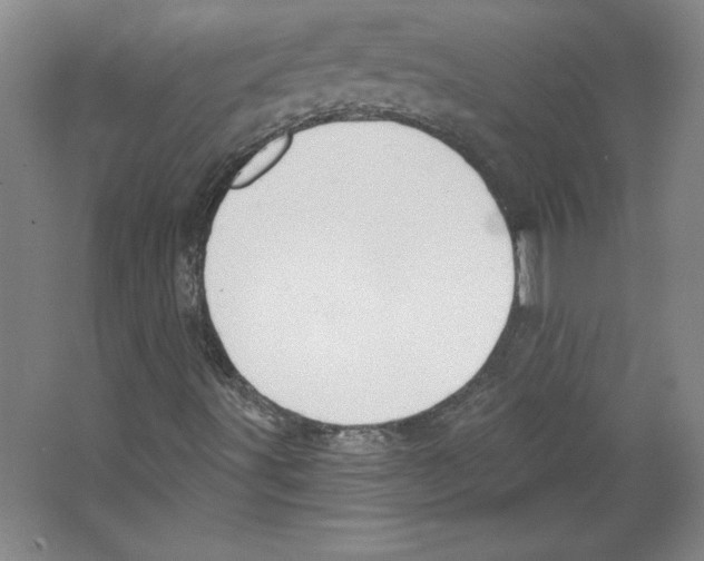 X0000067331491200604281405
