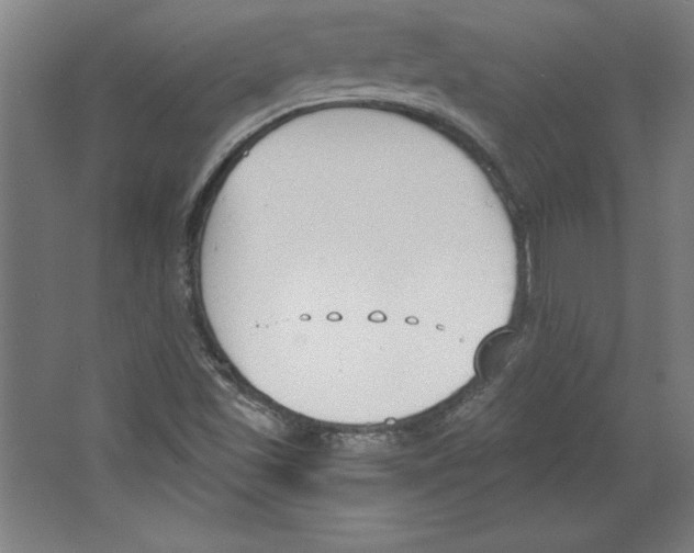 X0000067331501200604281405