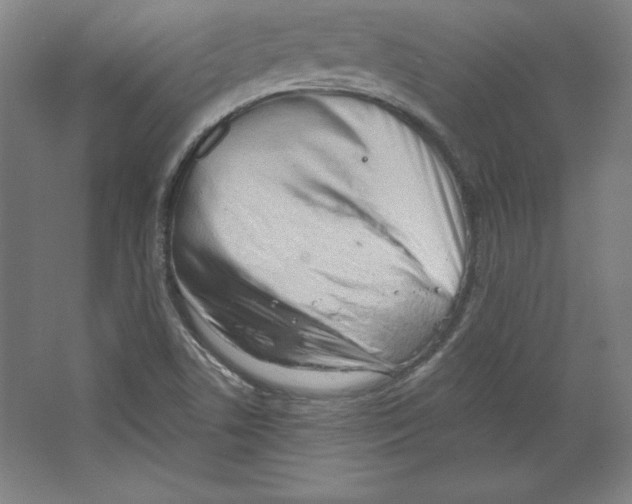 X0000067331506200604281405