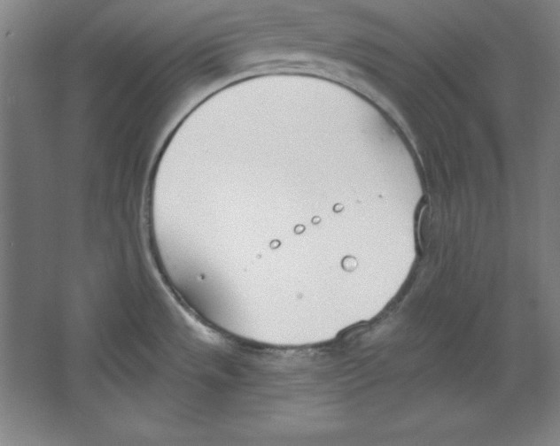 X0000067331533200604281406