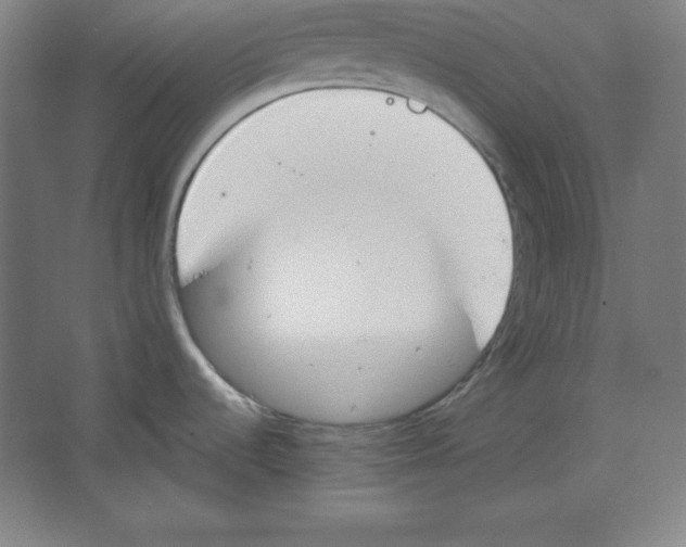 X0000067331536200604281406