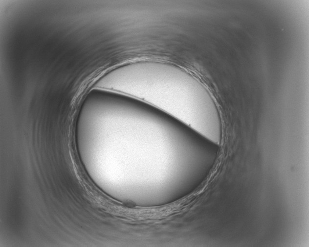 X0000067340001200603310936