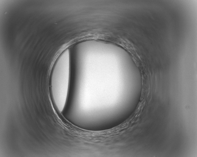 X0000067340003200603310936