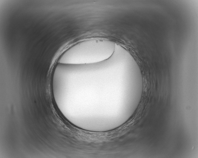 X0000067340004200603310936