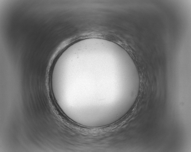 X0000067340006200603310936