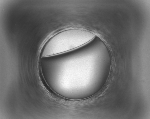 X0000067340007200603310936