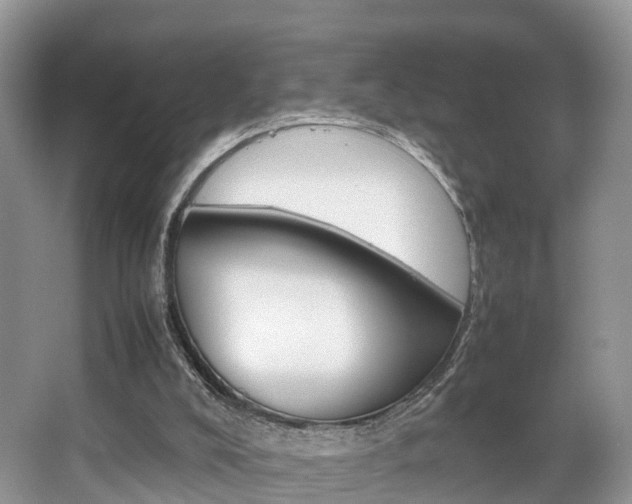X0000067340008200603310936