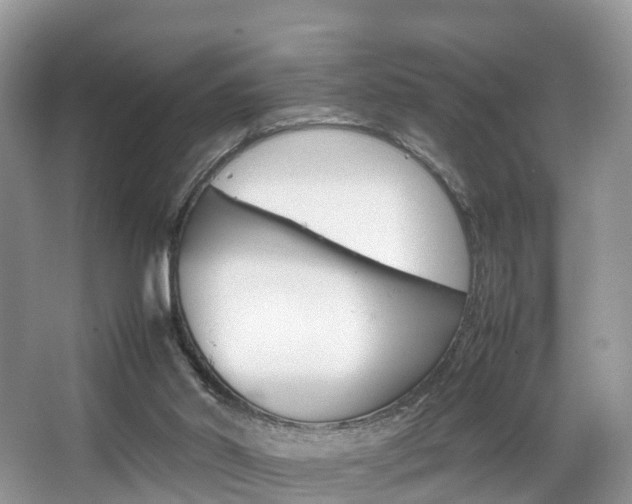 X0000067340014200603310936
