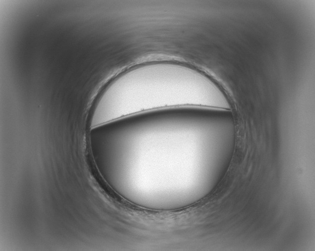 X0000067340015200603310936