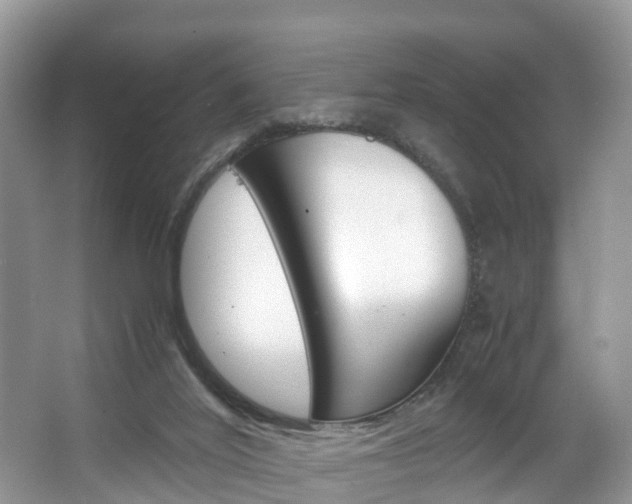 X0000067340020200603310936