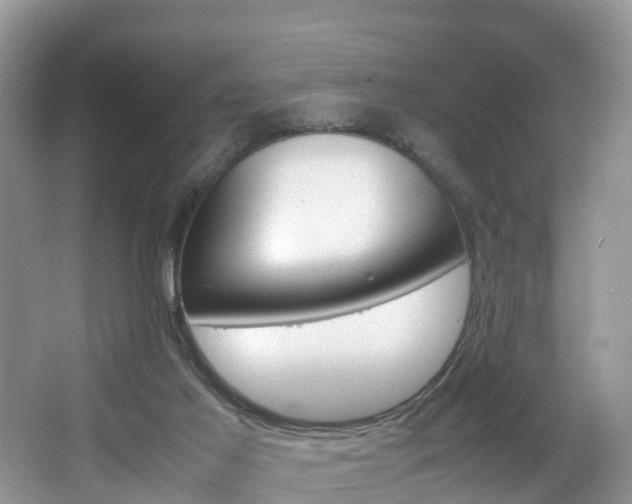X0000067340021200603310936