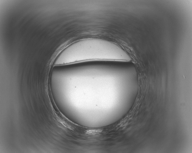 X0000067340051200603310935