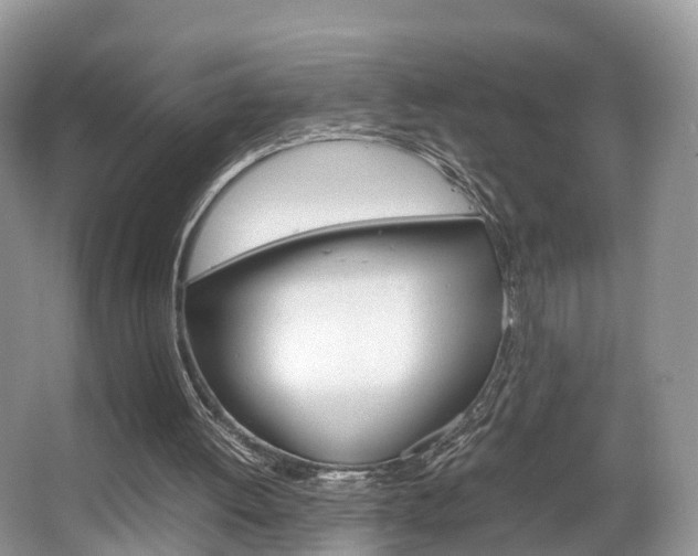 X0000067340052200603310935