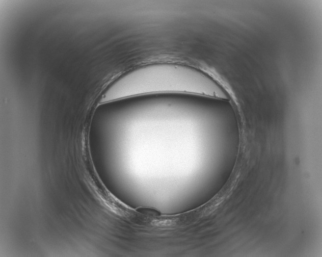 X0000067340057200603310935