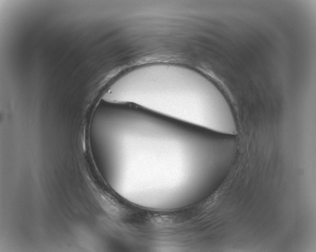X0000067340062200603310935