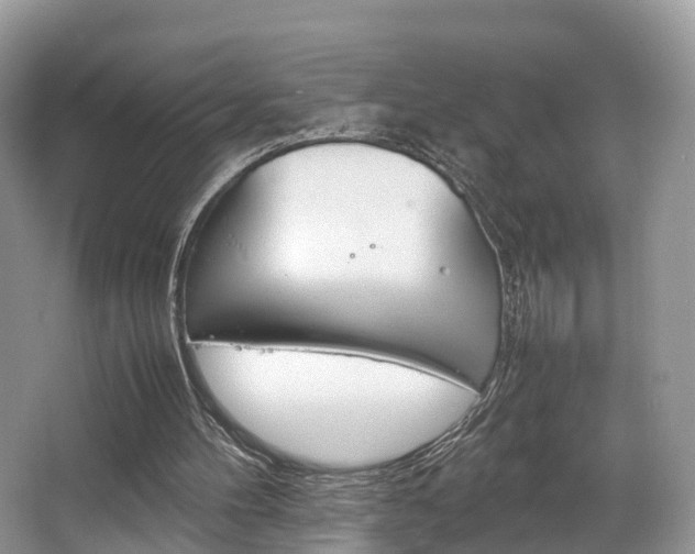 X0000067340100200603310935